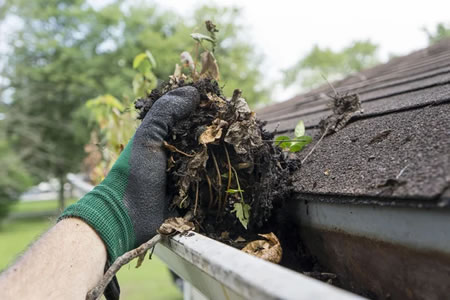 How Professional Gutter Cleaning Protects Your Roof, Siding, and Foundation Thumbnail